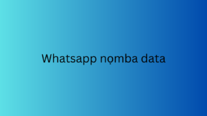 Whatsapp nọmba data