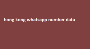 hong kong whatsapp number data